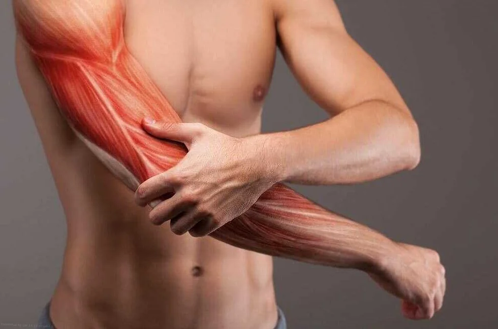 Восстановление организма и мышц после тренировки