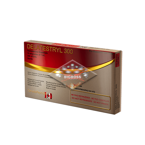 Testosterone Enanthate 300 ( Canada Bio Labs )