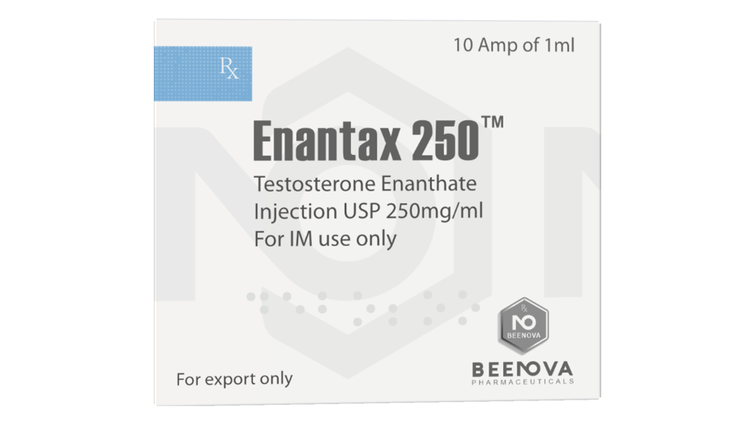 Testosterone Enanthate 250 ( BeeNova )